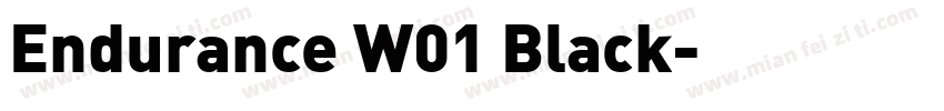 Endurance W01 Black字体转换